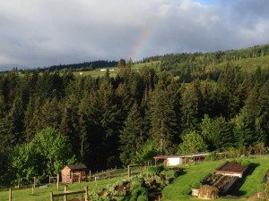 gardens-ridge-rainbows-sakura