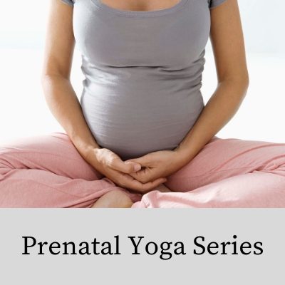 Prenatal Yoga Series